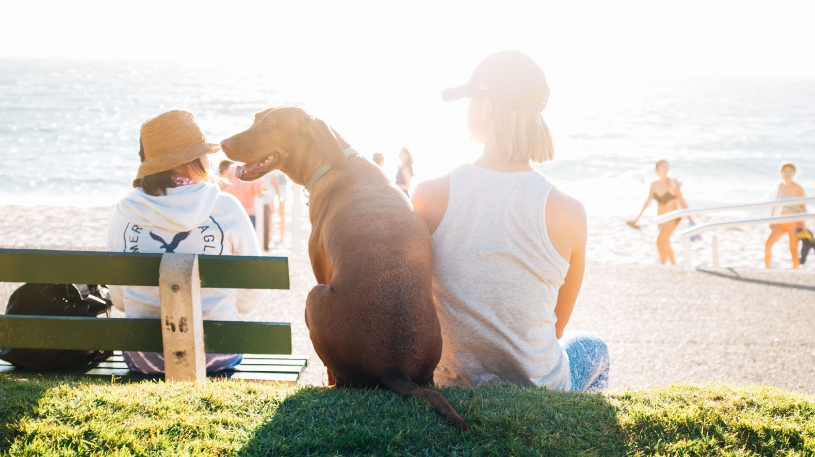 Dog and woman sitting overlooking the beach in Los Osos, California