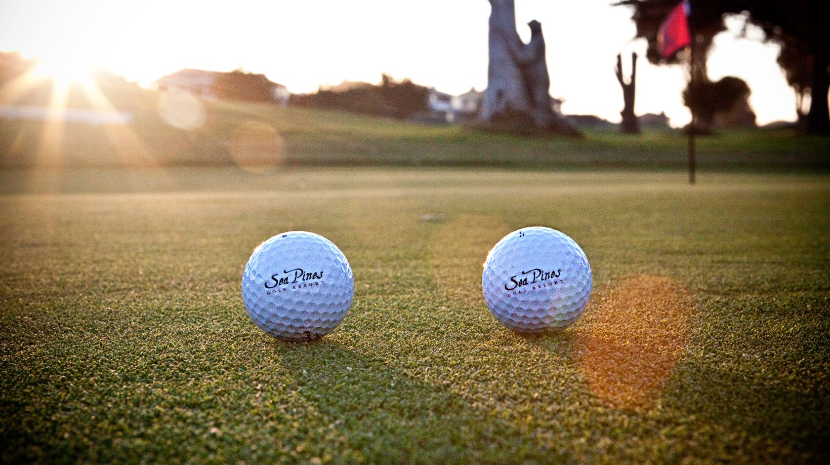 Golf balls illuminated by the bright Morro Bay sun 
